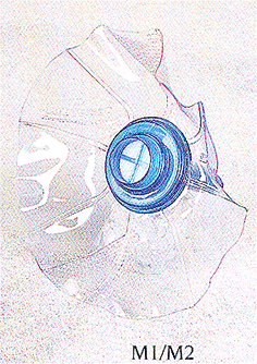 Line Art
