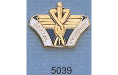 Dental hygienist Pin