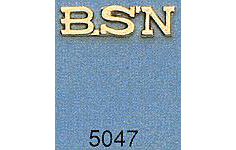 BSN Pin