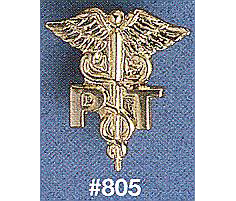 Physical Therapist Pin