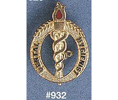 Dental Hygienist Pin