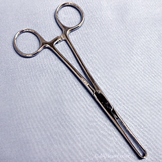 allheart 6 Allis Forceps With 4X5 Teeth Scissors