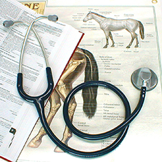 Littmann Master Classic II Veterinary Stethoscope