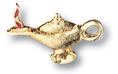 Prestige Medical Gold Nightingale Lamp Tac Pin