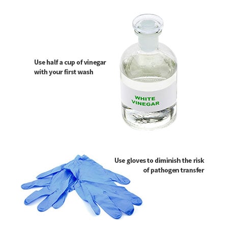 White vinegar and disposable gloves used for washing scrubs