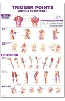 Anatomical Chart Company Trigger Point Chart Set | allheart.com