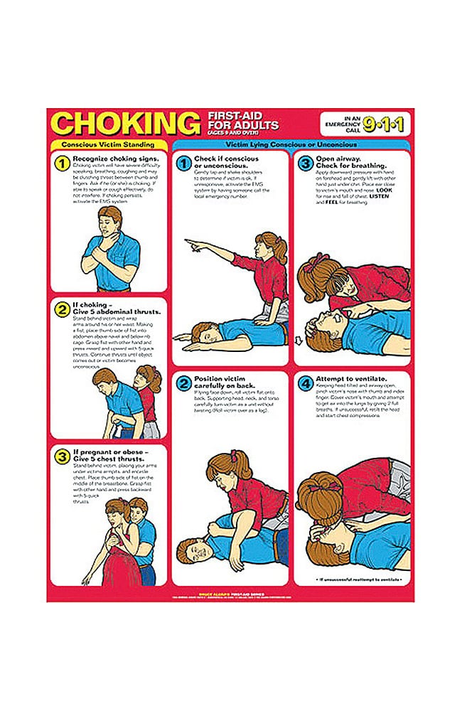 Anatomical Chart Company CPR Choking First Aid For Adults Anatomical Chart