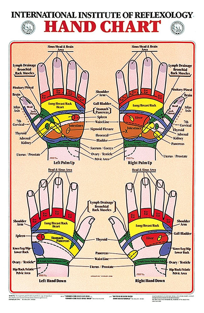 Anatomical Chart Company Hand Reflex Chart by The International ...