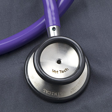 Engraved & Personalized Stethoscopes - Tube & Head Engraving